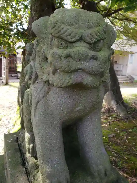 白山神社の狛犬