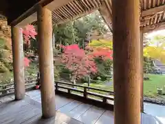 勝林寺の庭園