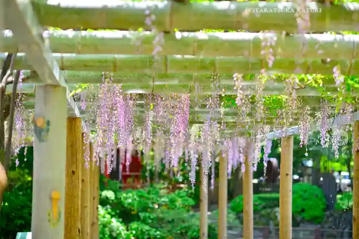 越ヶ谷久伊豆神社(埼玉県)