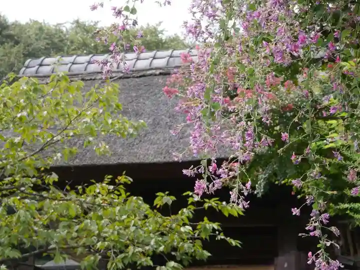 横浜 西方寺の自然