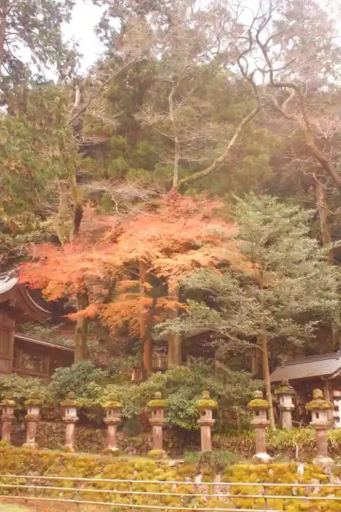 伊奈波神社(岐阜県)