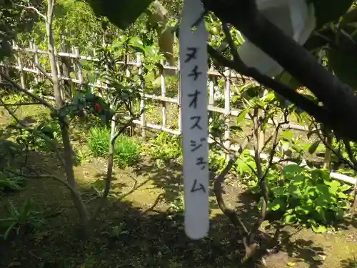 大巧寺(神奈川県)