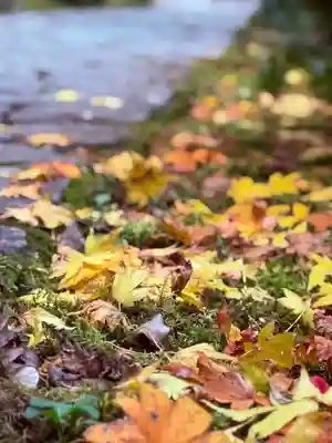 明通寺(福井県)