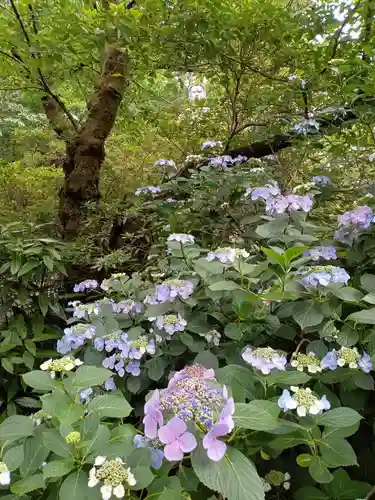 高幡不動尊　金剛寺(東京都)