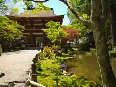 室生寺の庭園