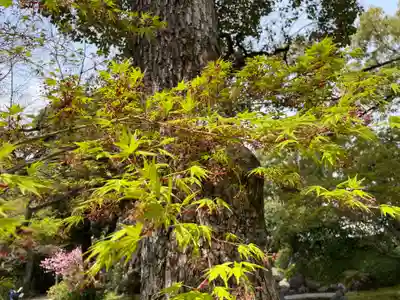 城南宮(京都府)