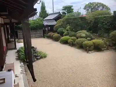 金剛寺の庭園