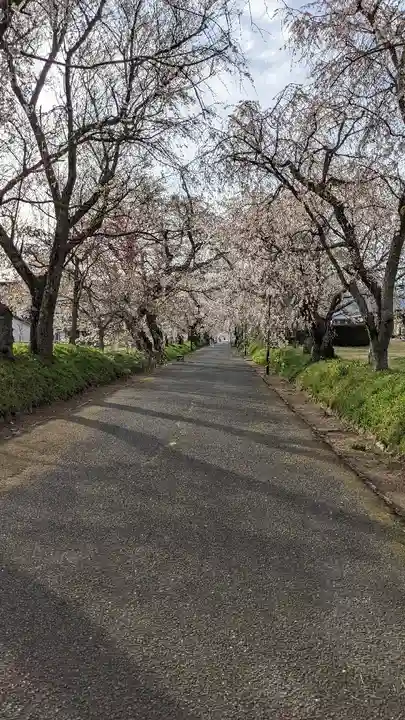徳佐八幡宮の自然