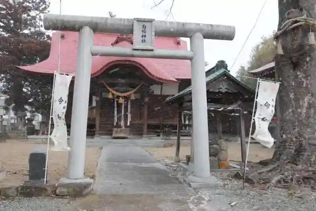 白幡神社の鳥居