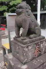 鎮守氷川神社の狛犬