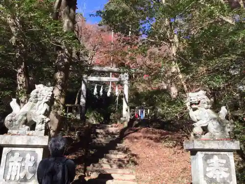 秩父御嶽神社の狛犬