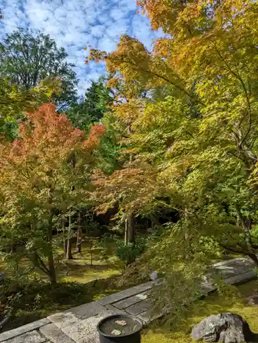 勝林寺(京都府)