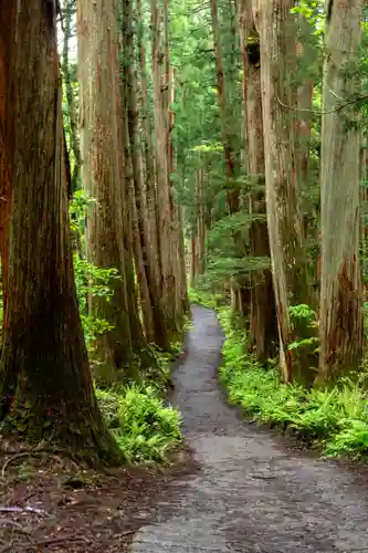 戸隠神社九頭龍社(長野県)