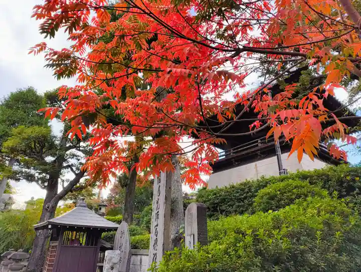 護国寺(東京都)