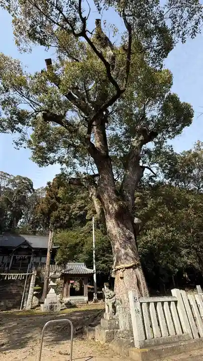 敷島神社(徳島県)