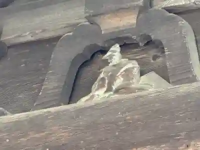 若一王子神社(長野県)