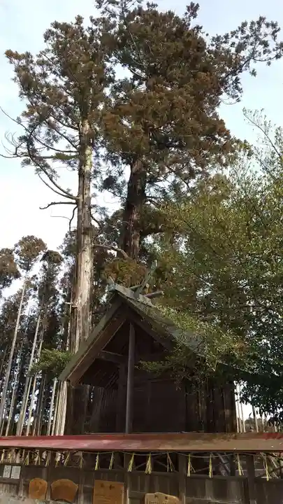 鹿嶋三嶋神社の本殿・本堂