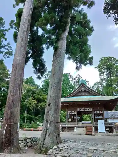 小椋神社の自然