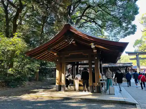 明治神宮(東京都)