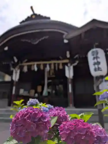 磐井神社(東京都)
