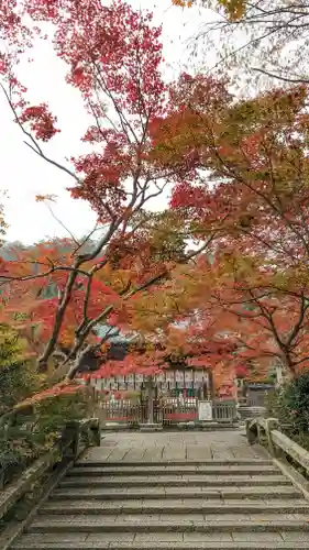 鍬山神社(京都府)