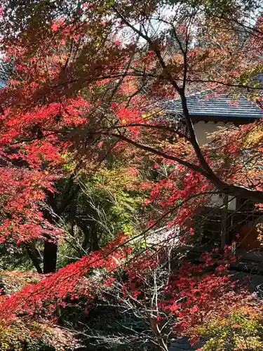 慈光寺(埼玉県)