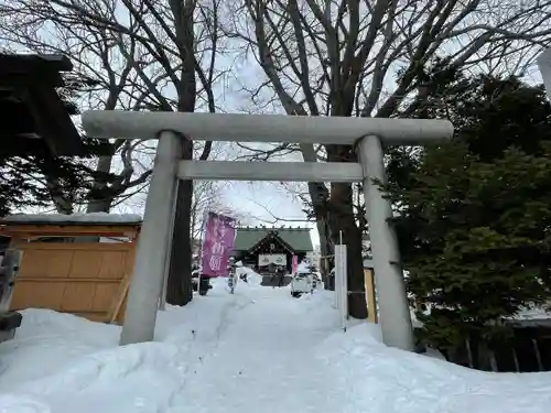 札幌諏訪神社の鳥居