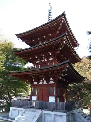 岡寺(龍蓋寺)(奈良県)