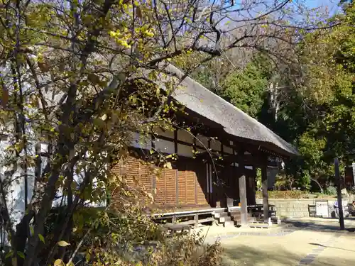 横浜　西方寺の自然