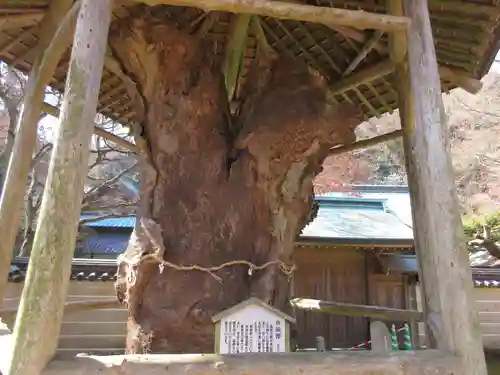 根香寺(香川県)