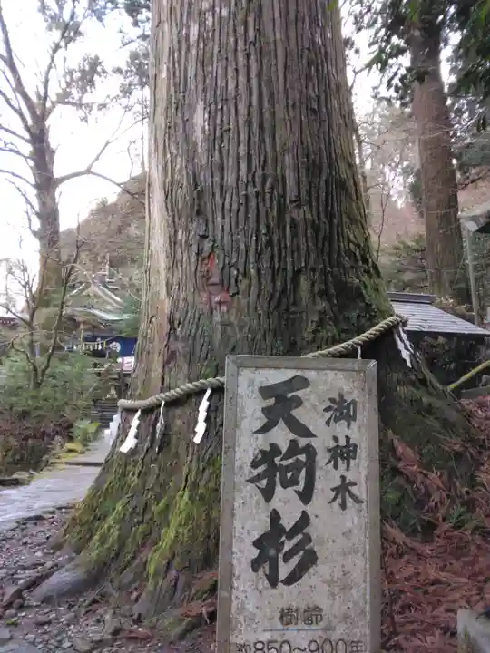 英彦山豊前坊高住神社(福岡県)