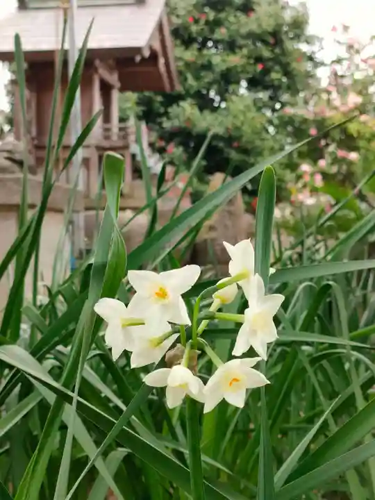 川上神社の庭園