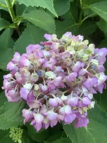 三輪神社の自然