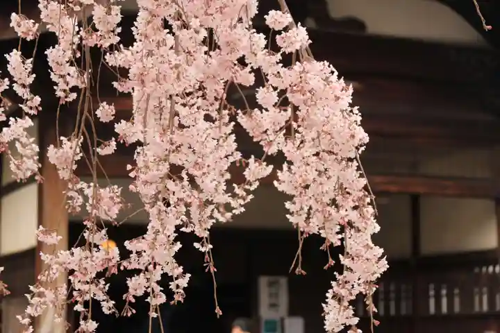 三宝院(三宝院門跡)の自然