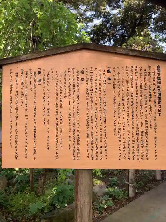 白岡八幡神社の歴史