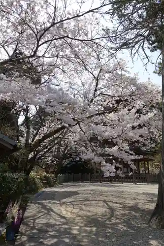 海住山寺の自然