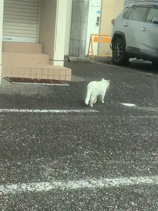 味鏡山 護國院(愛知県)