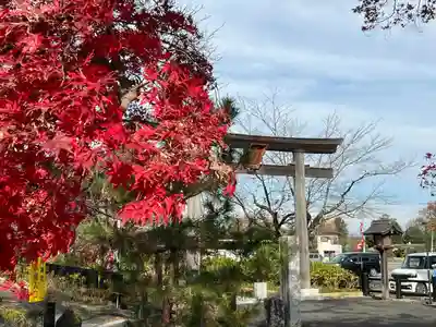 高麗神社(埼玉県)