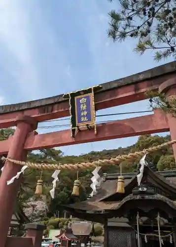 白鬚神社(滋賀県)