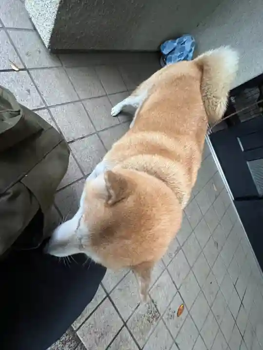 笠䅣稲荷神社(神奈川県)