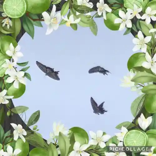 鴻八幡宮の周辺