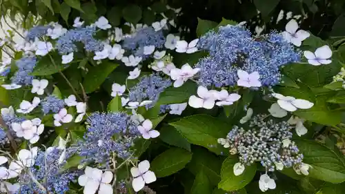 大松禅寺(京都府)