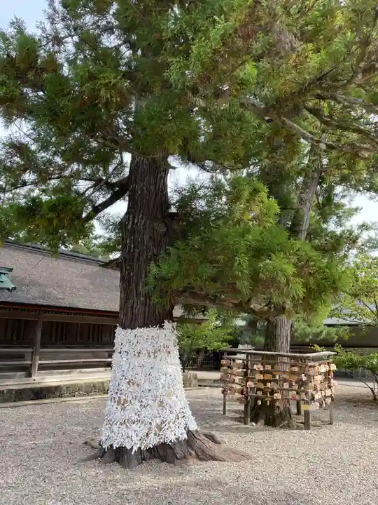 出雲大社(島根県)