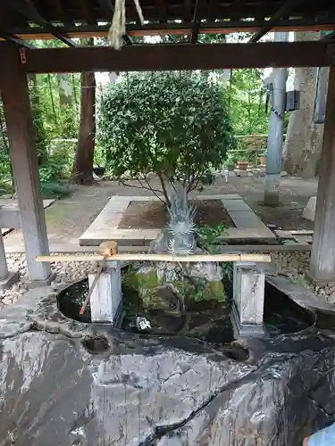 所澤神明社の手水舎