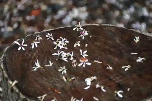 鹿島大神宮の自然