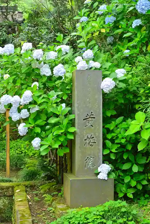 円覚寺(神奈川県)