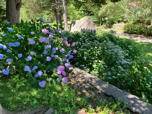 有珠善光寺(北海道)