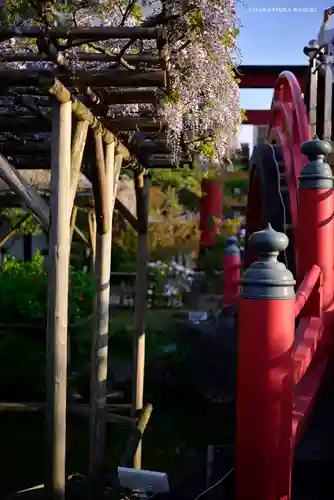 亀戸天神社の庭園