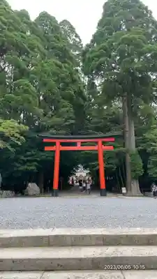 霧島神宮(鹿児島県)