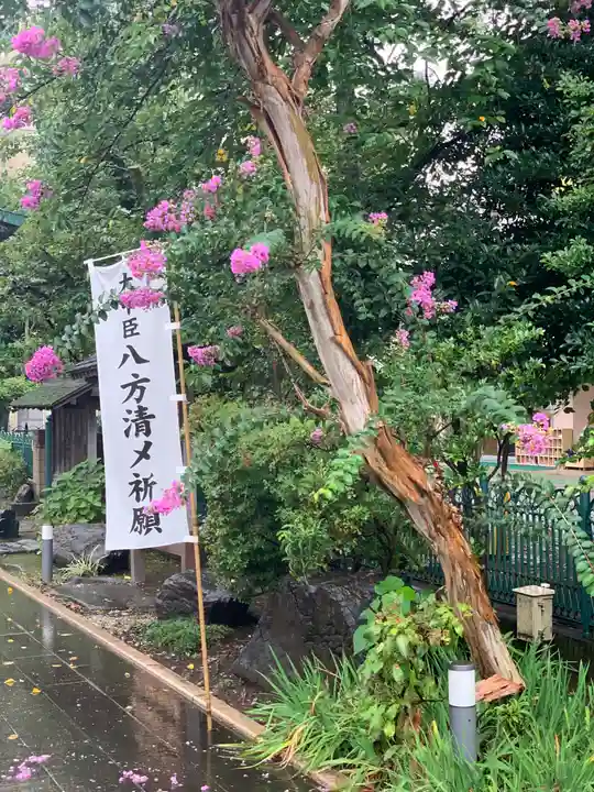 桜神宮のその他建物